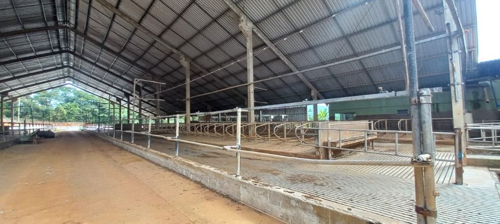 Rural / Chácara no Área rural — foto 2