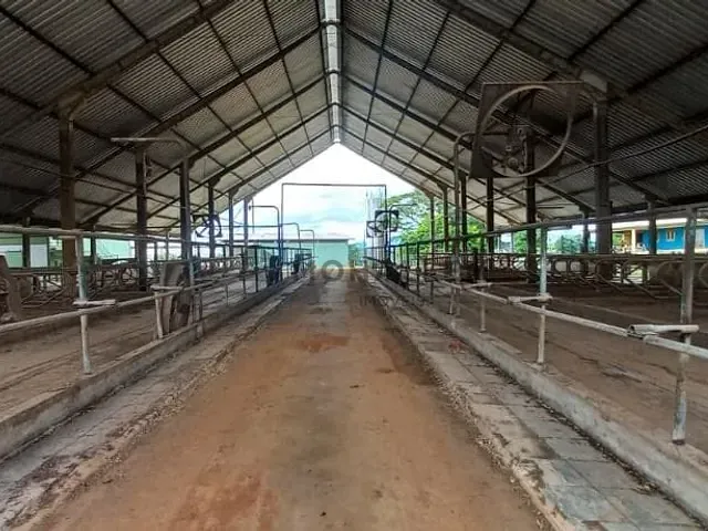 Fazenda com 1600000m², à venda, no bairro Área rural em Cambuquira