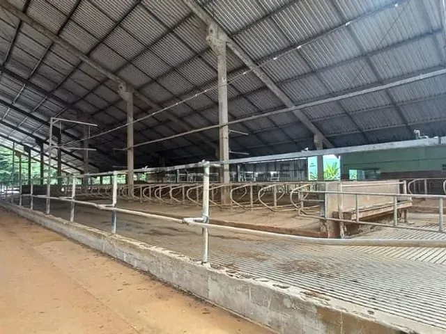 Fazenda com 1600000m², à venda, no bairro Área rural em Cambuquira