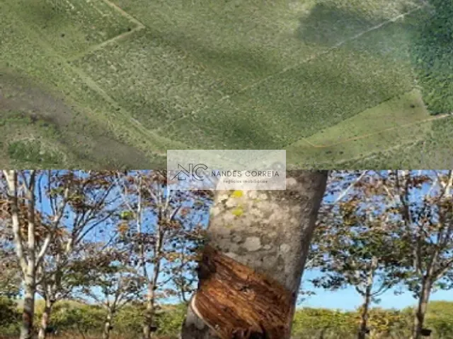 Fazenda com 64805000m² 8 quartos e 6 banheiros, à venda, no bairro Cocalinho em Cocalinho