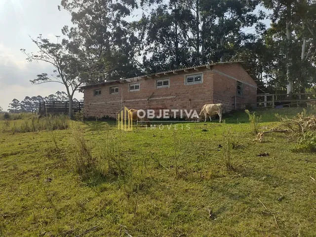 Fazenda com 45000m² 3 quartos e 2 banheiros, à venda, no bairro Estância Grande em Viamão