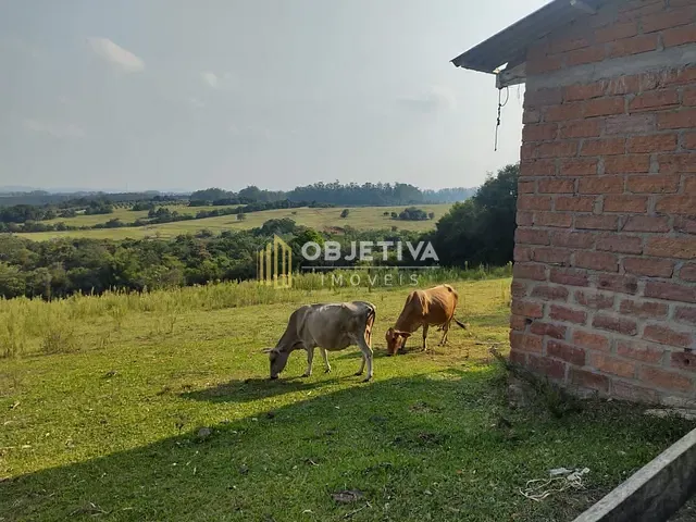 Fazenda com 45000m² 3 quartos e 2 banheiros, à venda, no bairro Estância Grande em Viamão