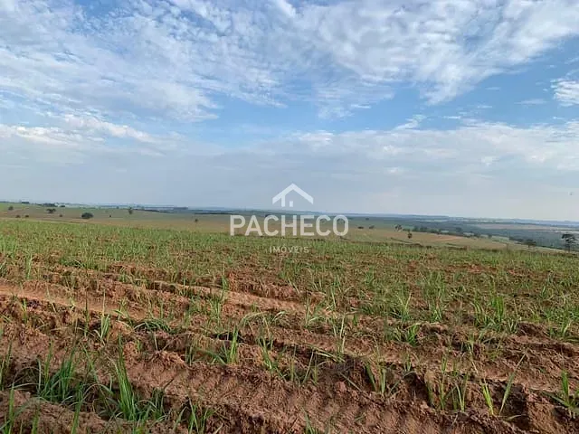 Fazenda com 2395800m², à venda, no bairro Higienópolis em Piracicaba