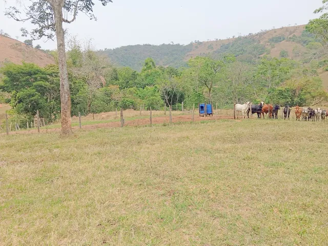 Fazenda com 1355200000m² 1 quarto e 1 banheiro, à venda, no bairro Villa Velha em Roseira