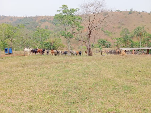 Fazenda com 1355200000m² 1 quarto e 1 banheiro, à venda, no bairro Villa Velha em Roseira