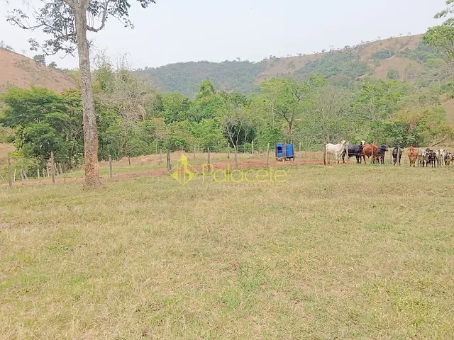 Fazenda com 1355200000m² 1 quarto e 1 banheiro, à venda, no bairro Villa Velha em Roseira