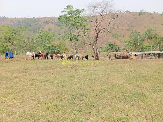 Fazenda com 1355200000m² 1 quarto e 1 banheiro, à venda, no bairro Villa Velha em Roseira