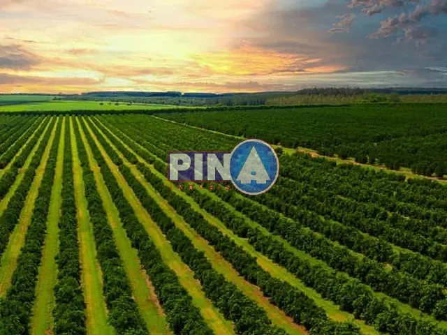 Fazenda com 100m² 6 quartos e 3 banheiros, à venda, no bairro Centro em Jataí