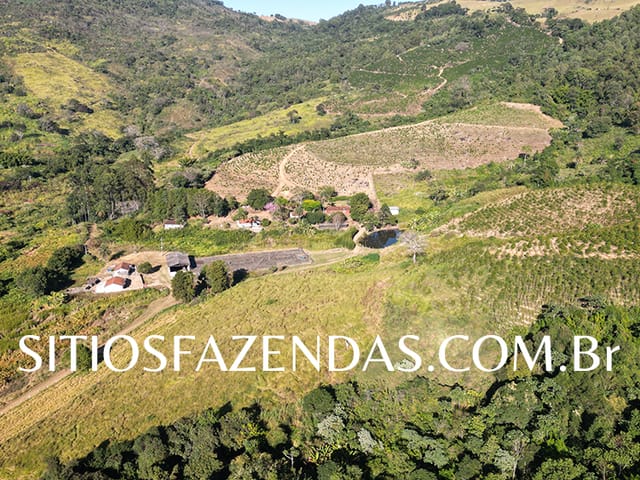 Foto do Fazenda - Sítio 26.4 alqueires aptos a Produção de Oliveira, 1 mil metros de altitude A 8 km de Poços de Caldas -MG, atualmente produzindo café!! | Conecte Imóvel