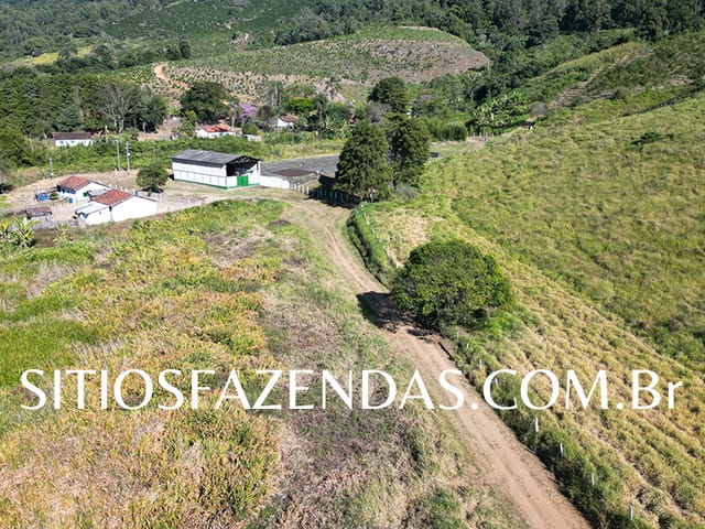 Foto do Fazenda - Sítio 26.4 alqueires aptos a Produção de Oliveira, 1 mil metros de altitude A 8 km de Poços de Caldas -MG, atualmente produzindo café!! | Conecte Imóvel