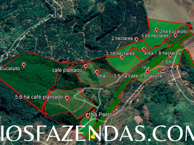 Foto do Fazenda - Sítio 26.4 alqueires aptos a Produção de Oliveira, 1 mil metros de altitude A 8 km de Poços de Caldas -MG, atualmente produzindo café!! | Conecte Imóvel