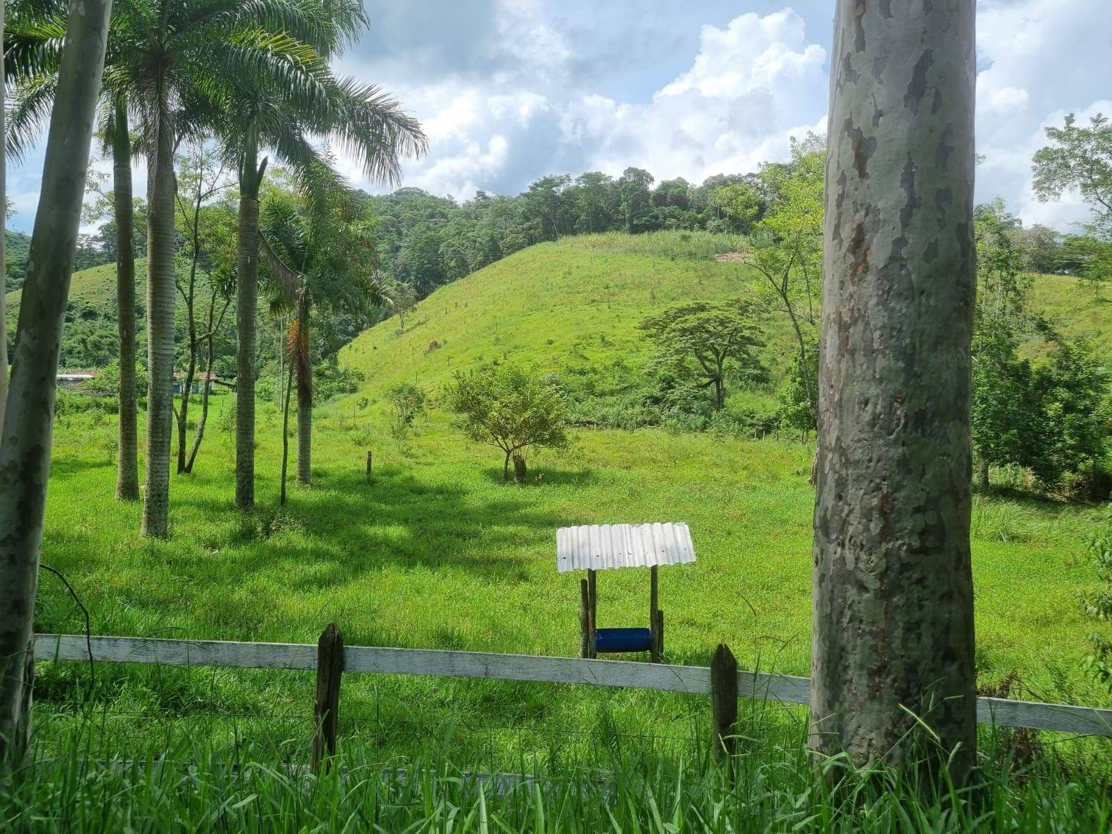 Fazenda, 82 hectares - Foto 31