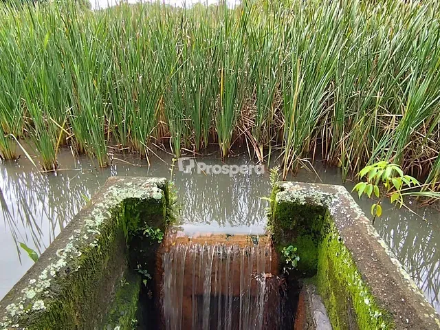 Fazenda com 104m² 3 quartos e 3 banheiros, à venda, no bairro Área Rural de Anápolis em Anápolis