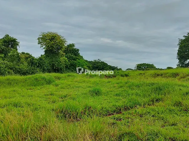 Fazenda com 104m² 3 quartos e 3 banheiros, à venda, no bairro Área Rural de Anápolis em Anápolis
