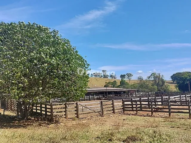 Fazenda com 104m² 3 quartos e 3 banheiros, à venda, no bairro Área Rural de Anápolis em Anápolis