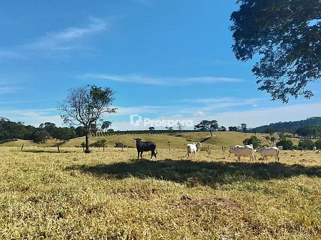 Fazenda com 104m² 3 quartos e 3 banheiros, à venda, no bairro Área Rural de Anápolis em Anápolis