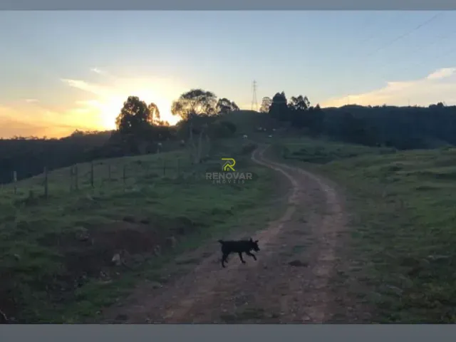Fazenda com 170000m², à venda, no bairro Zona Rural em Pinhão