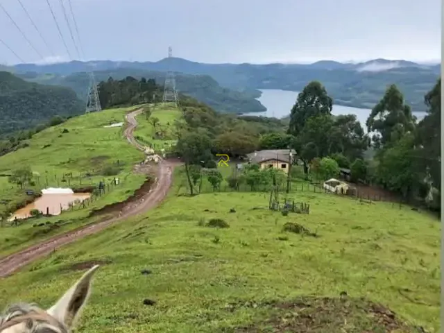Fazenda com 170000m², à venda, no bairro Zona Rural em Pinhão