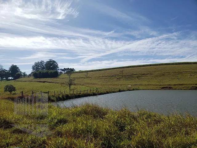 Fazenda com 8905600m² 4 quartos e 4 banheiros, à venda, no bairro Ipeúna em Ipeúna