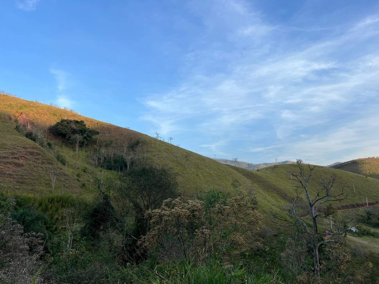 Fazenda, 10 m² - Foto 8