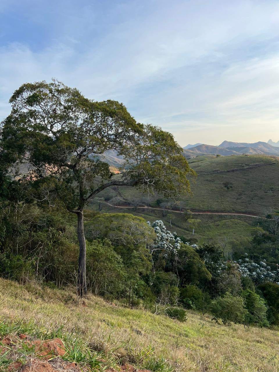 Fazenda, 10 m² - Foto 28