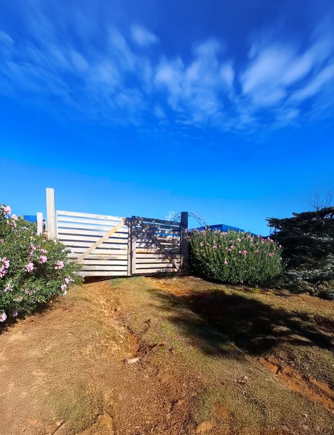 Fazenda-Sítio-Chácara, 10000 m² - Foto 1