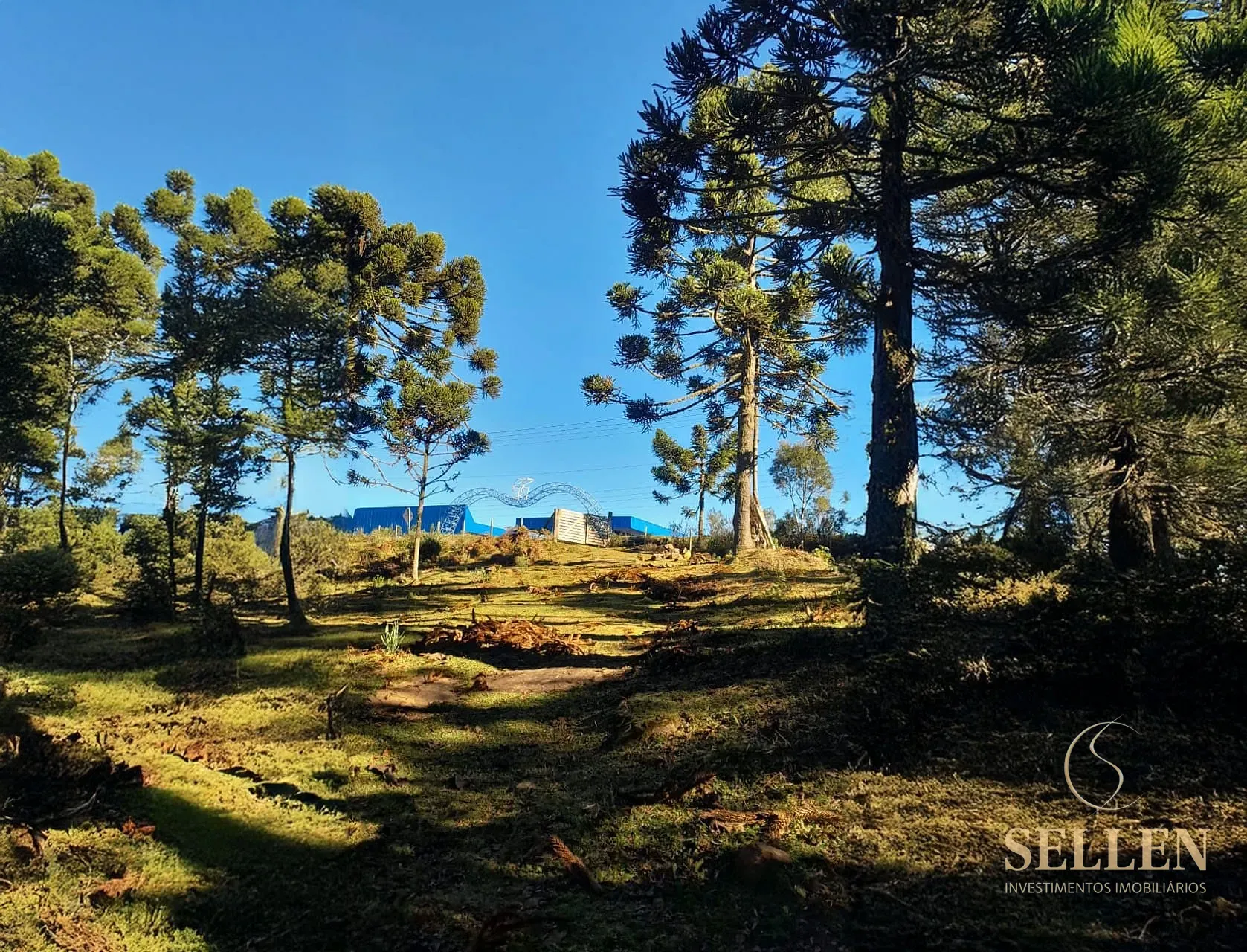 Fazenda, 10000 m² - Foto 3