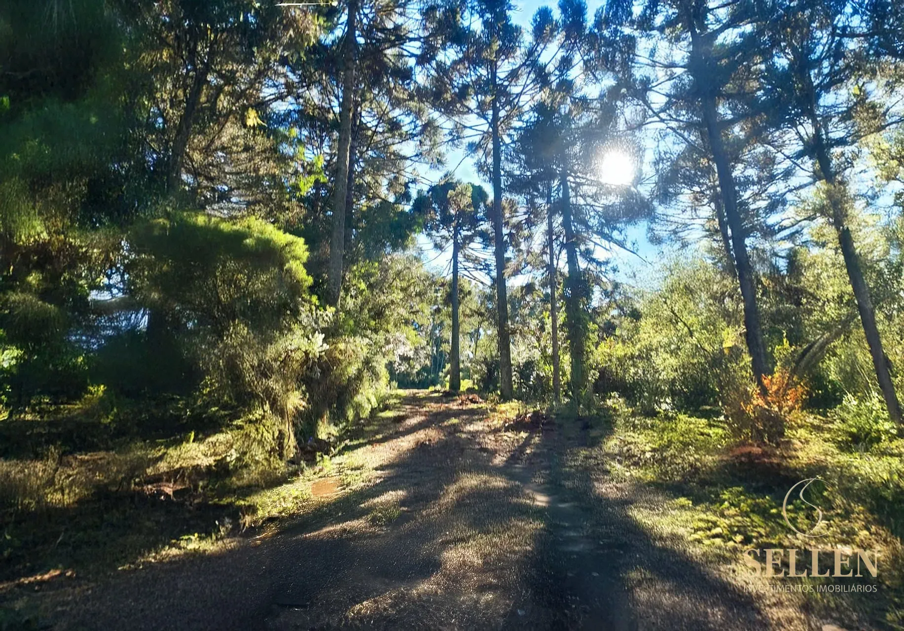 Fazenda, 10000 m² - Foto 5