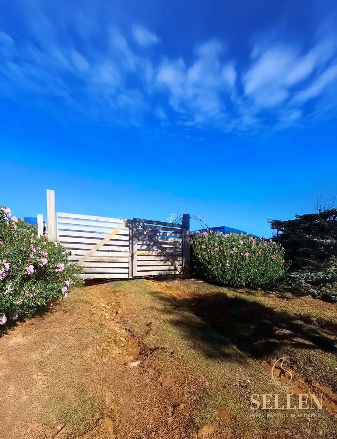 Fazenda, 10000 m² - Foto 1