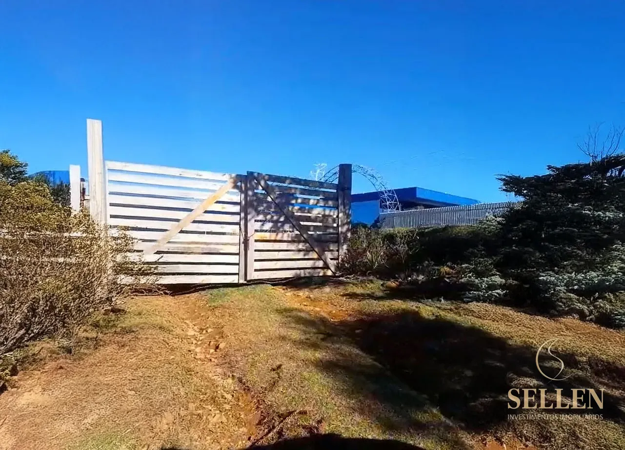 Fazenda, 10000 m² - Foto 2