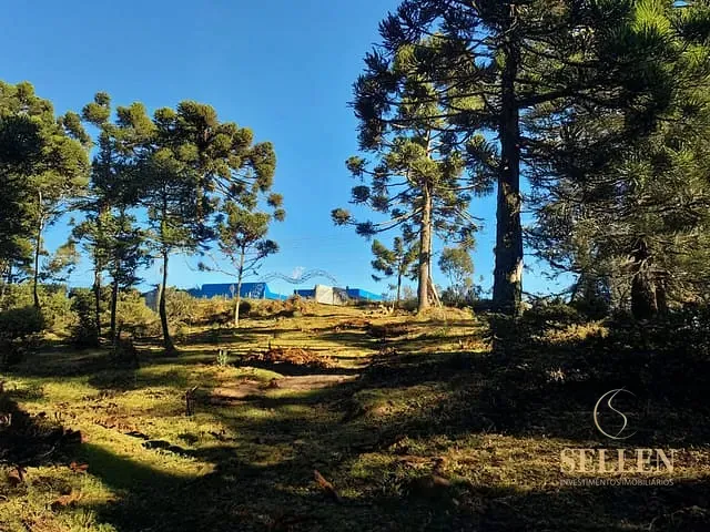 Fazenda com 10000m² 3 quartos e 3 banheiros, à venda, no bairro São Sebastião em São Joaquim