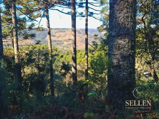 Fazenda com 10000m² 3 quartos e 3 banheiros, à venda, no bairro São Sebastião em São Joaquim