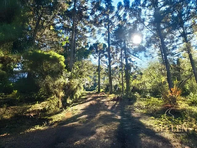 Fazenda com 10000m² 3 quartos e 3 banheiros, à venda, no bairro São Sebastião em São Joaquim