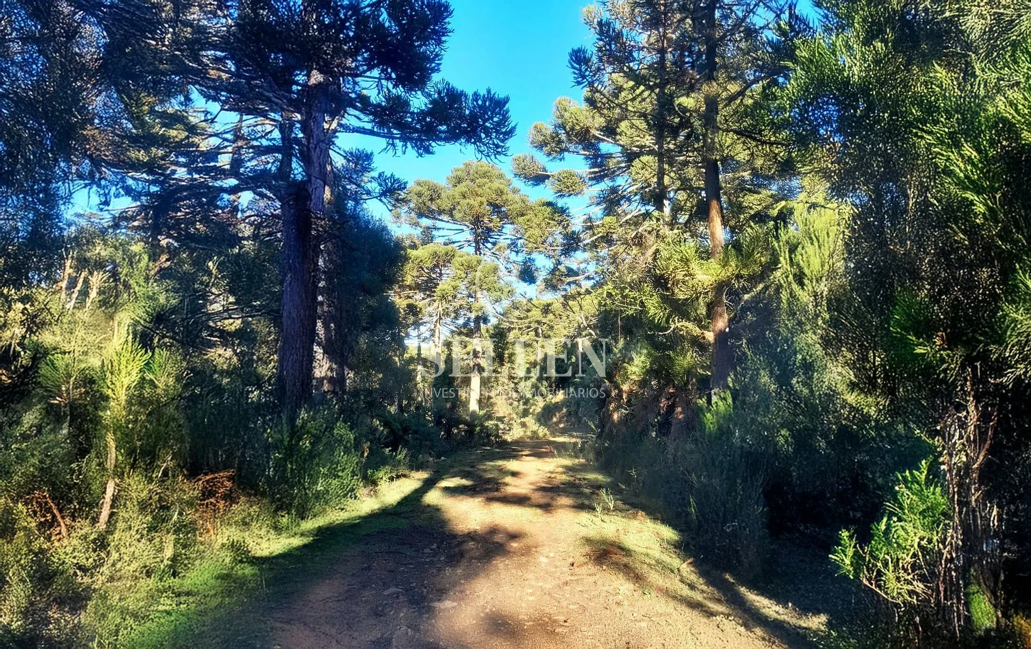 Fazenda, 10000 m² - Foto 6