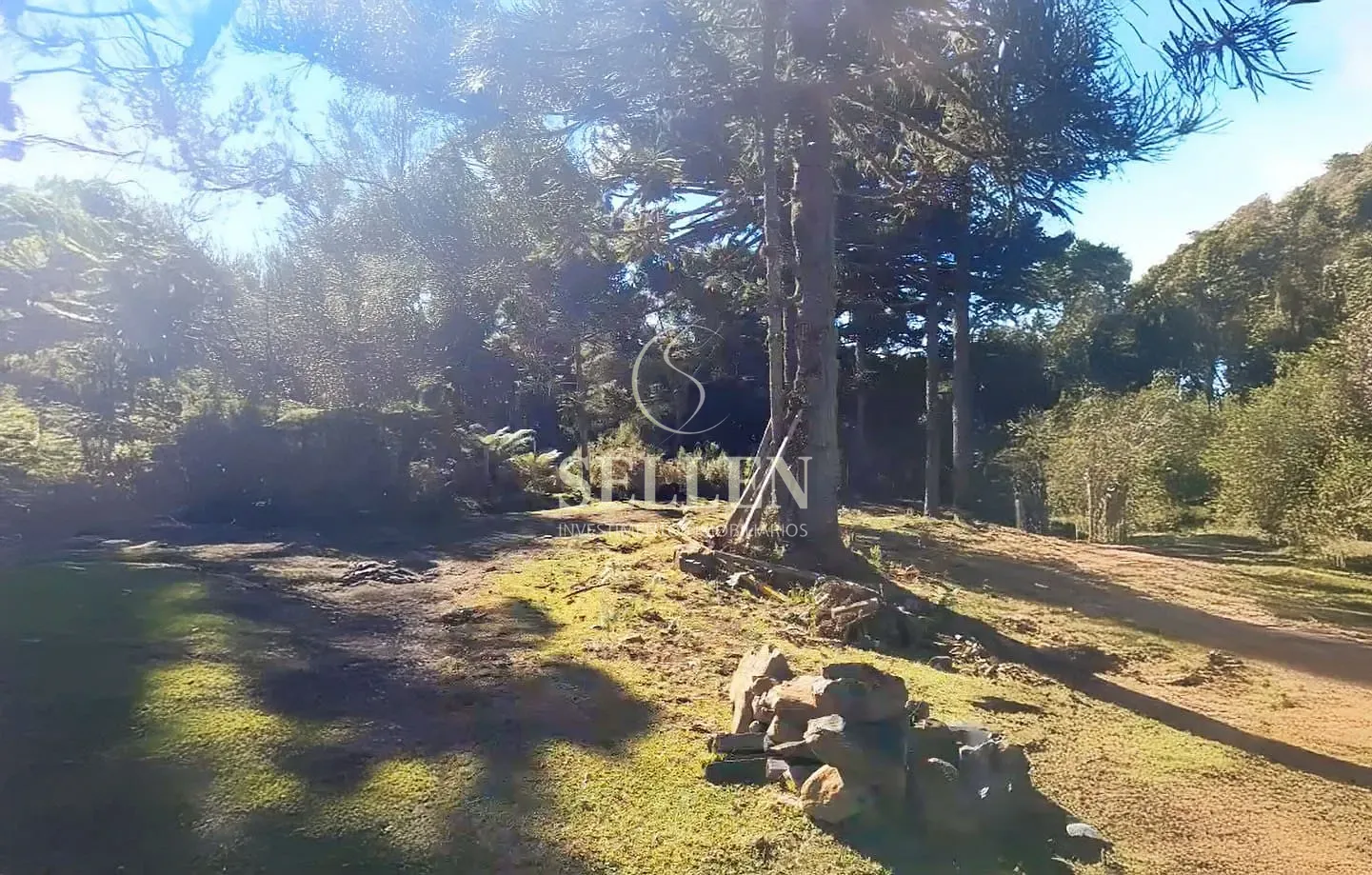 Fazenda, 10000 m² - Foto 7