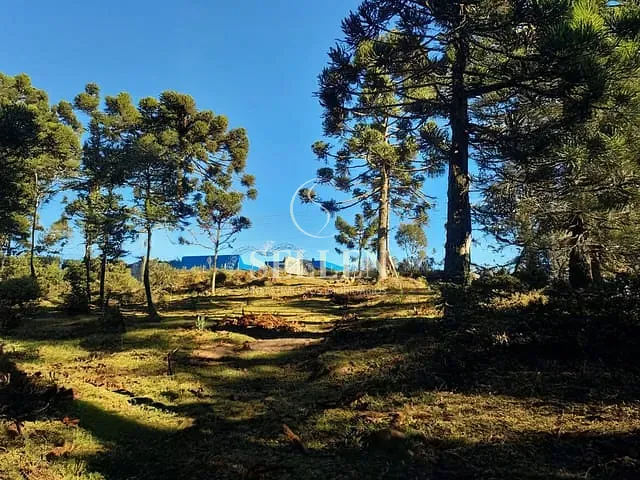 Fazenda com 10000m² 3 quartos e 3 banheiros, à venda, no bairro São Sebastião em São Joaquim