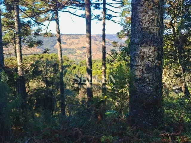 Fazenda com 10000m² 3 quartos e 3 banheiros, à venda, no bairro São Sebastião em São Joaquim