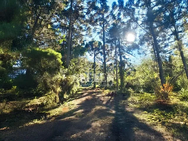 Fazenda com 10000m² 3 quartos e 3 banheiros, à venda, no bairro São Sebastião em São Joaquim