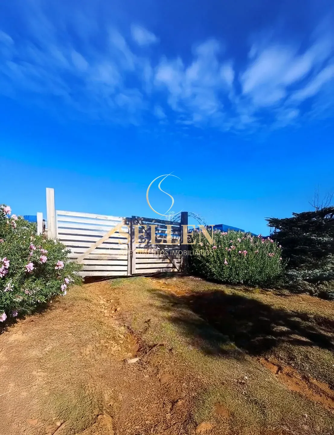 Sítio, 3 quartos, 10000 m² - Foto 1