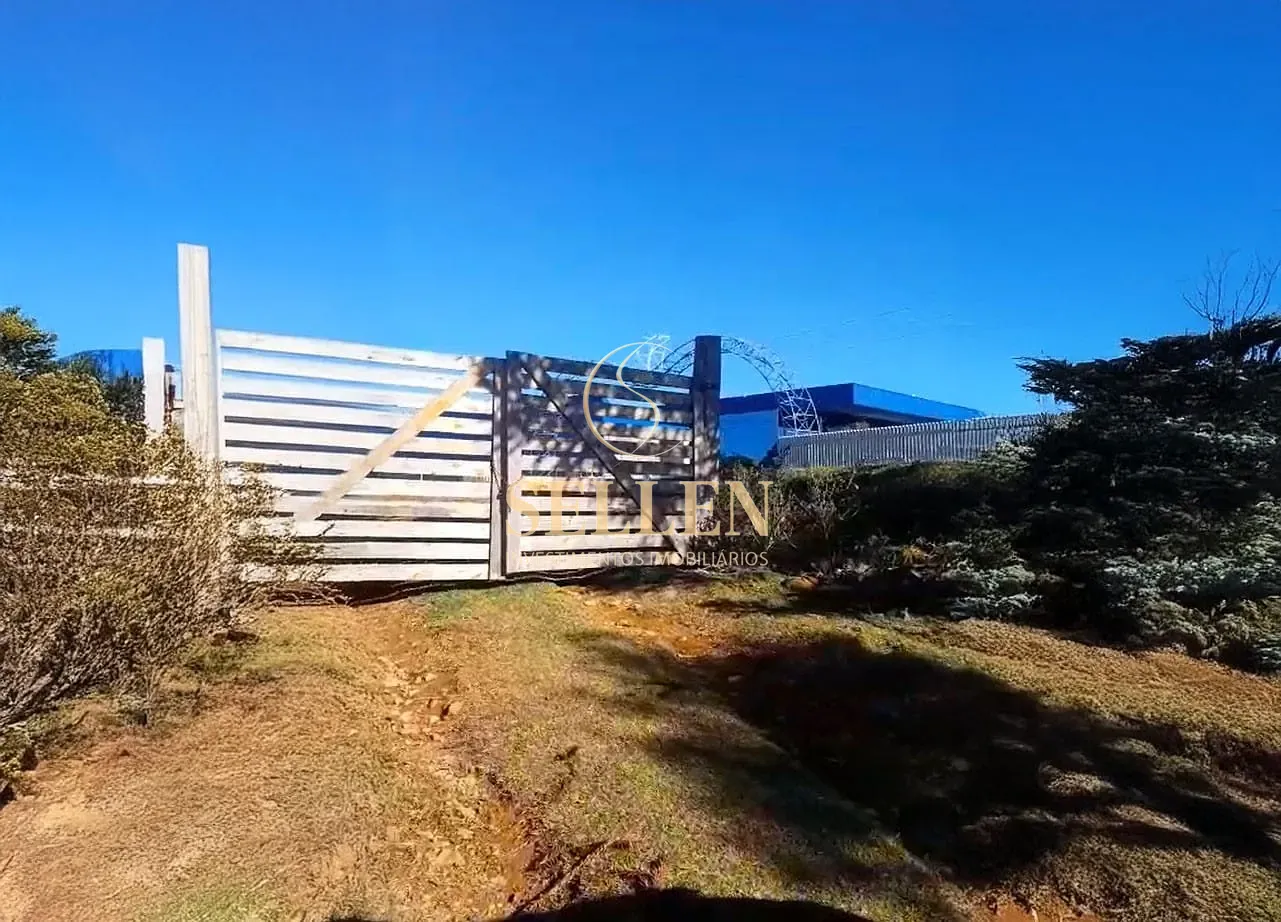 Sítio, 3 quartos, 10000 m² - Foto 2
