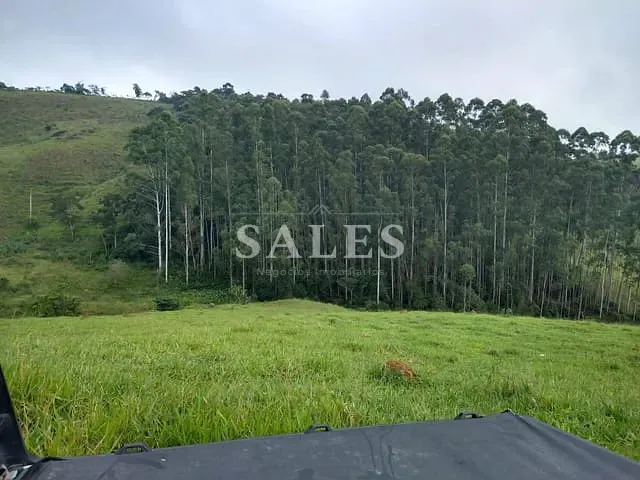 Terreno com 40000m², à venda, no bairro Grama em Juiz de Fora