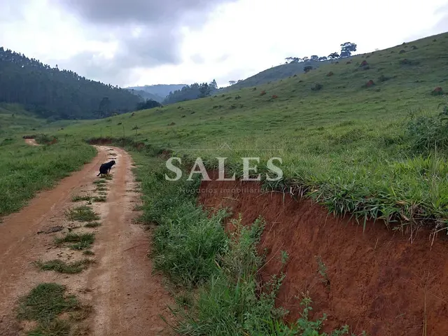 Terreno com 40000m², à venda, no bairro Grama em Juiz de Fora