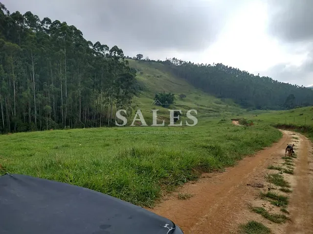 Terreno com 40000m², à venda, no bairro Grama em Juiz de Fora
