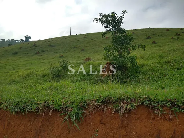 Terreno com 40000m², à venda, no bairro Grama em Juiz de Fora