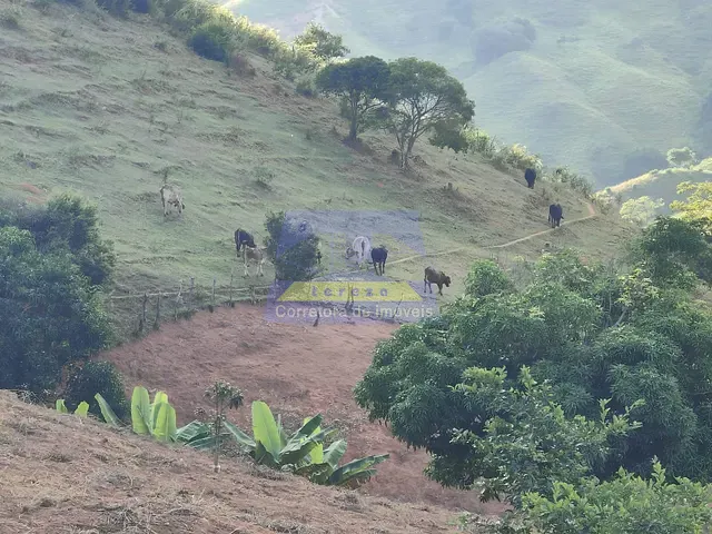 Fazenda com 740000m², à venda, no bairro SANTA MARIA DE ITABIRA em Santa Maria de Itabira
