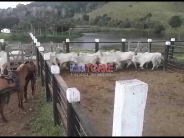 Fazenda com 285m² 1 quarto e 1 banheiro, à venda, no bairro zona rural em Ipiaú
