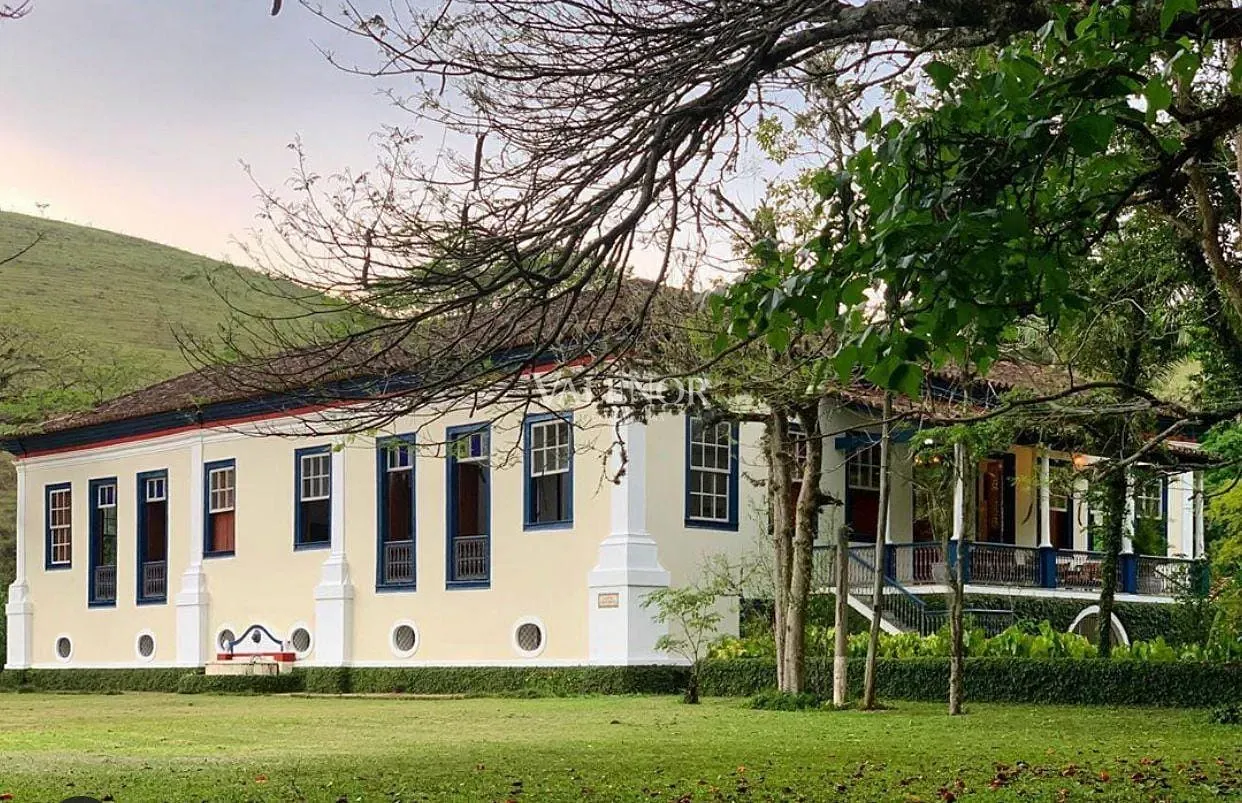 Fazenda, 215 hectares - Foto 3