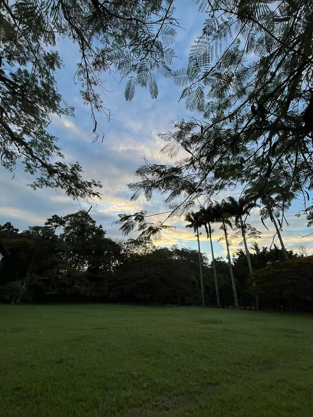 Fazenda, 215 hectares - Foto 20