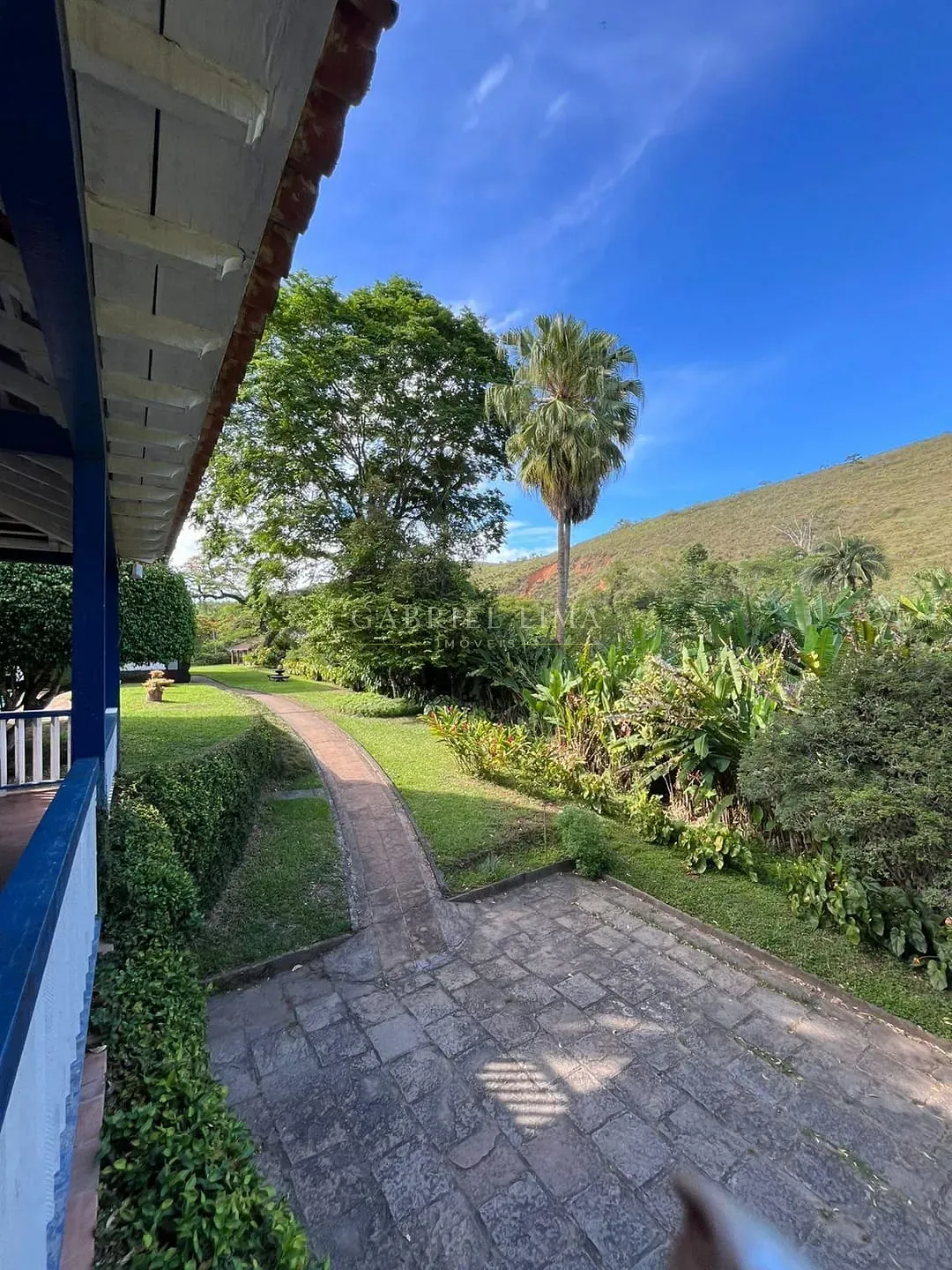 Fazenda, 215 hectares - Foto 19