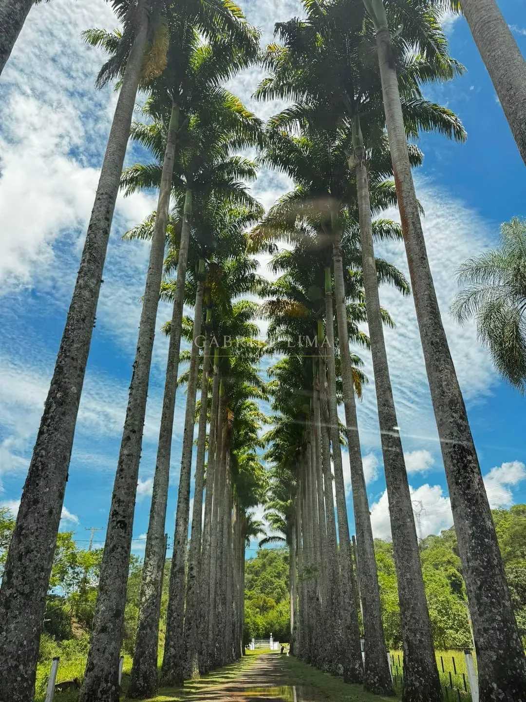 Fazenda, 215 hectares - Foto 18